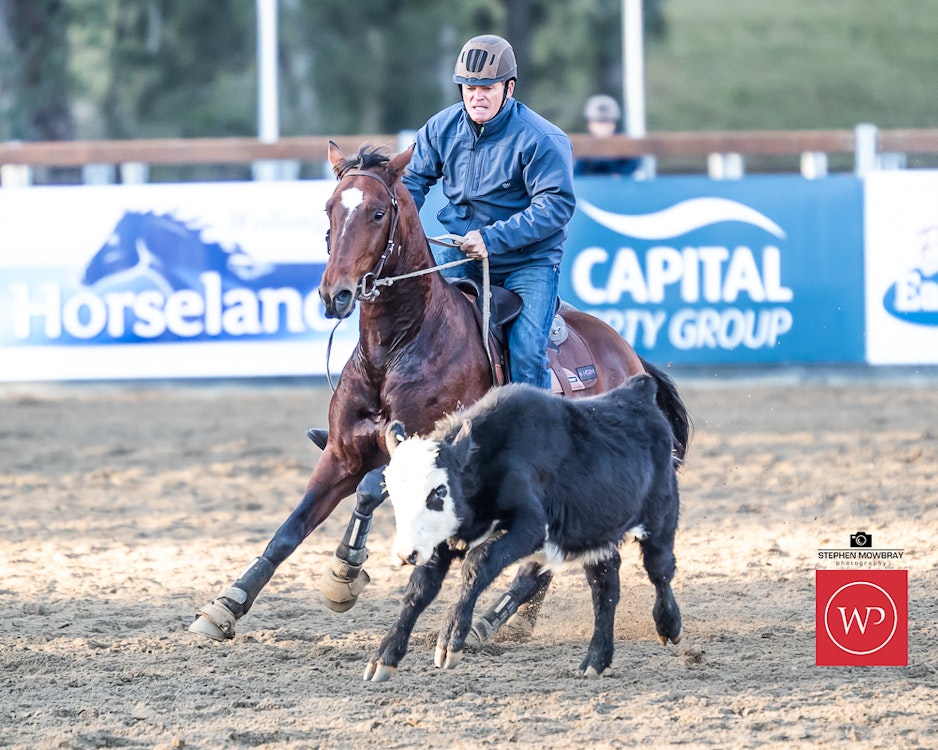 Image for Campdraft Round 2 Results and Photos