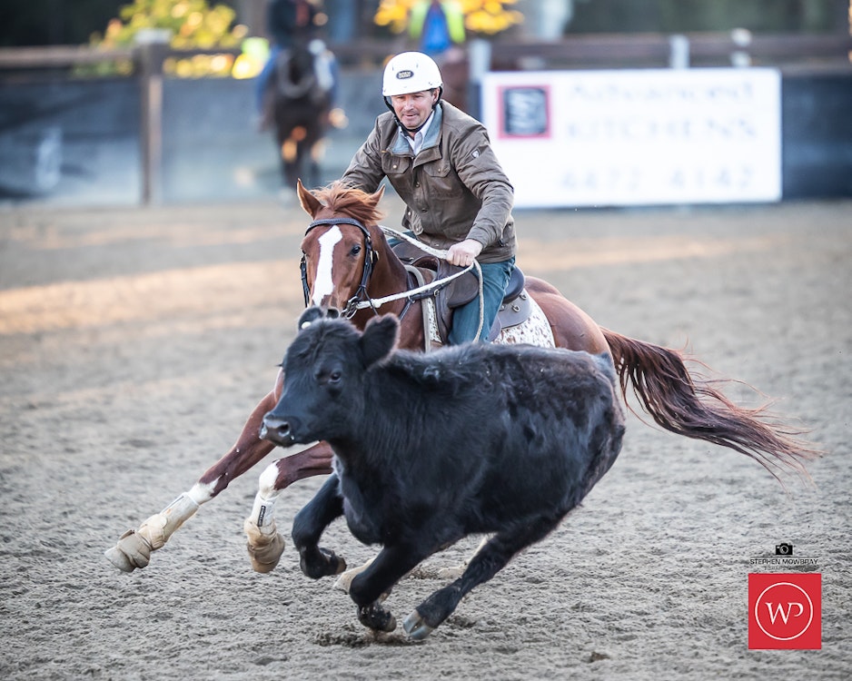 Image for Campdraft Round 2 Results and Photos