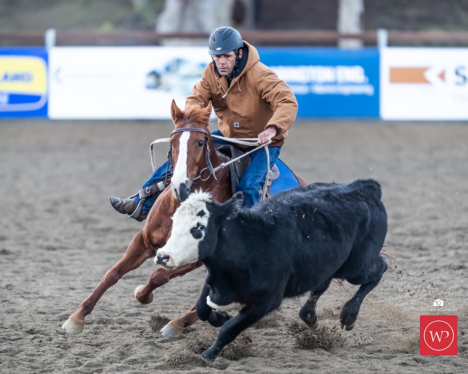 Image for Campdraft Round 2 Results and Photos
