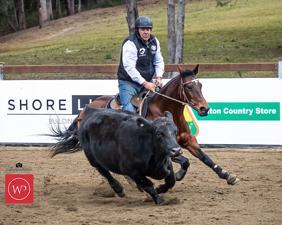 Image for Gold Buckle Campdraft Willinga Dash Results and Photos