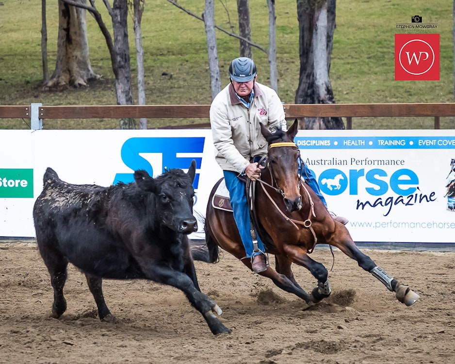 Image for Gold Buckle Campdraft Willinga Dash Results and Photos
