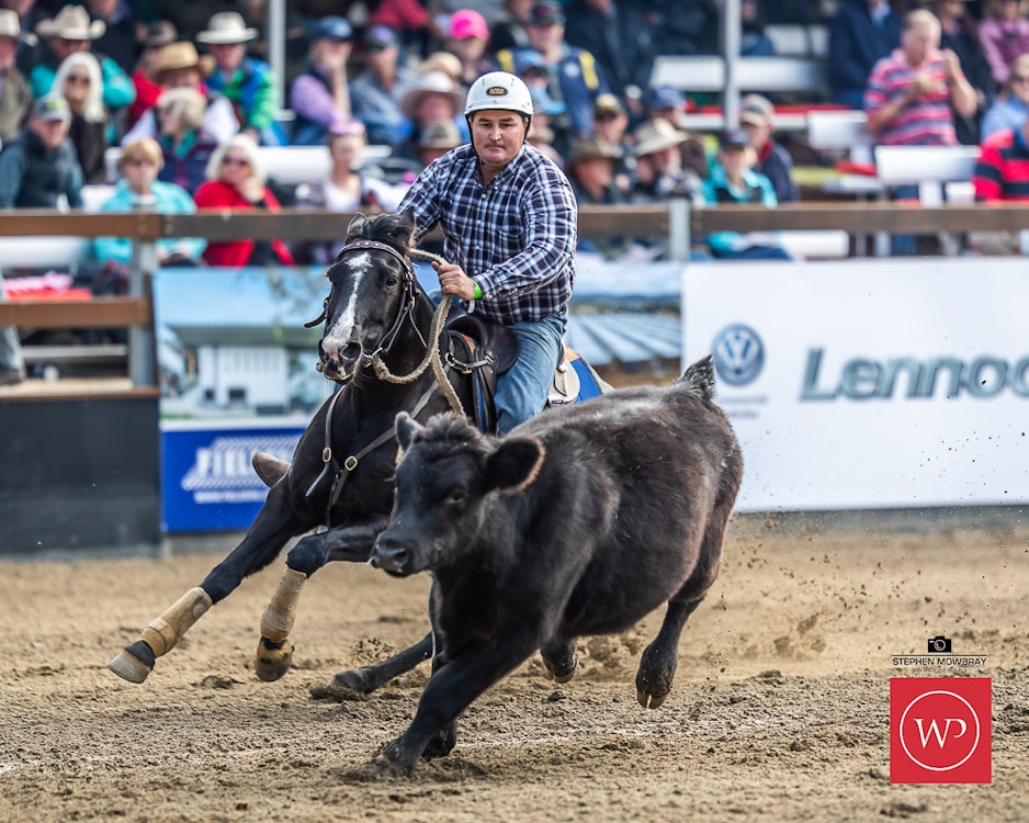 Image for Gold Buckle Campdraft Semi Final Results and Photos