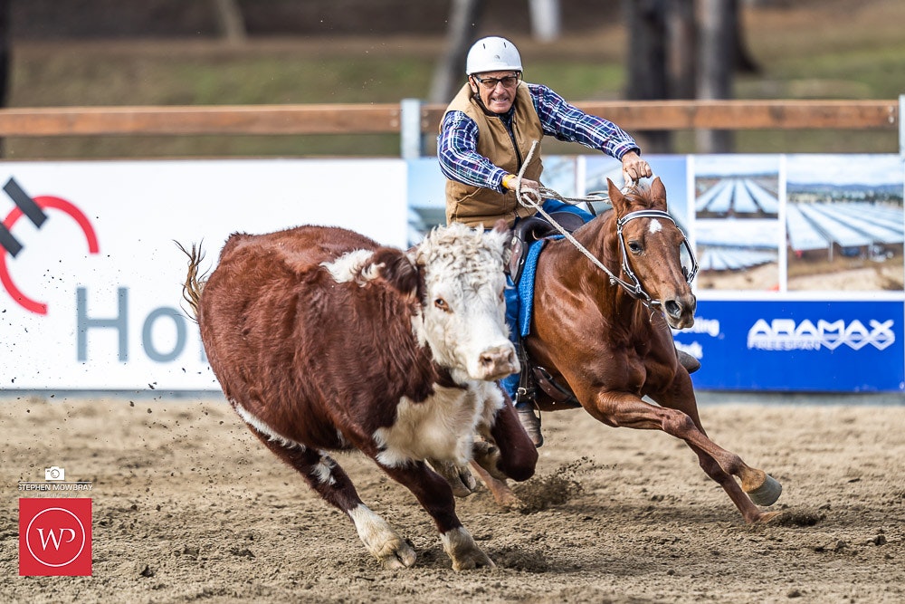 Image for Gold Buckle Campdraft Semi Final Results and Photos