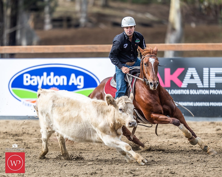 Image for Gold Buckle Campdraft Semi Final Results and Photos