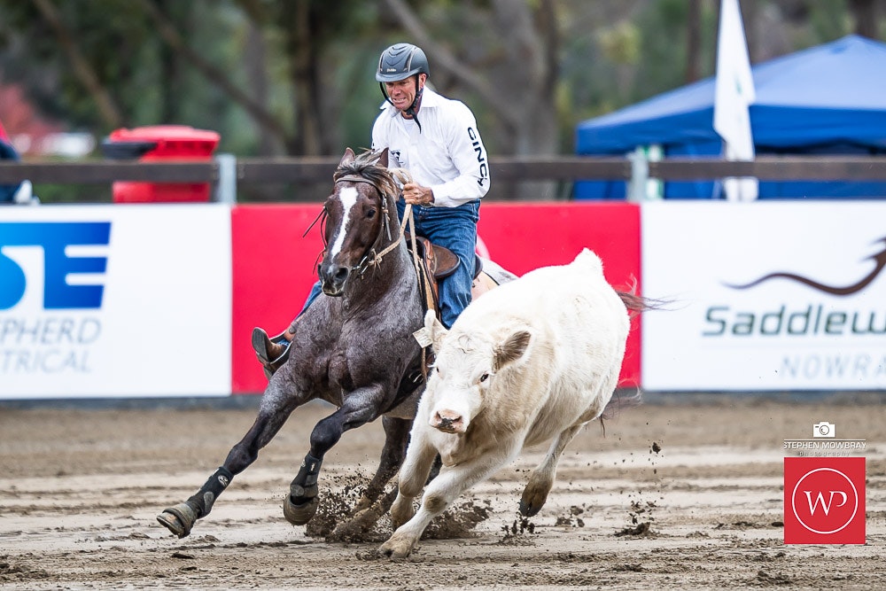Image for Gold Buckle Campdraft Semi Final Results and Photos