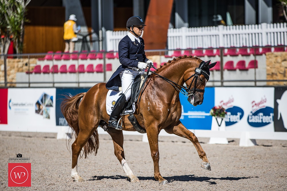 Image for Rivenlee Grand Prix CDN