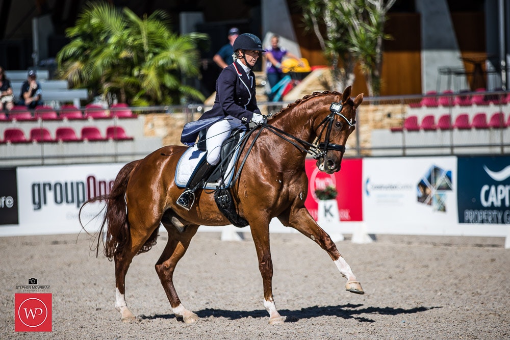 Image for Rivenlee Grand Prix CDN