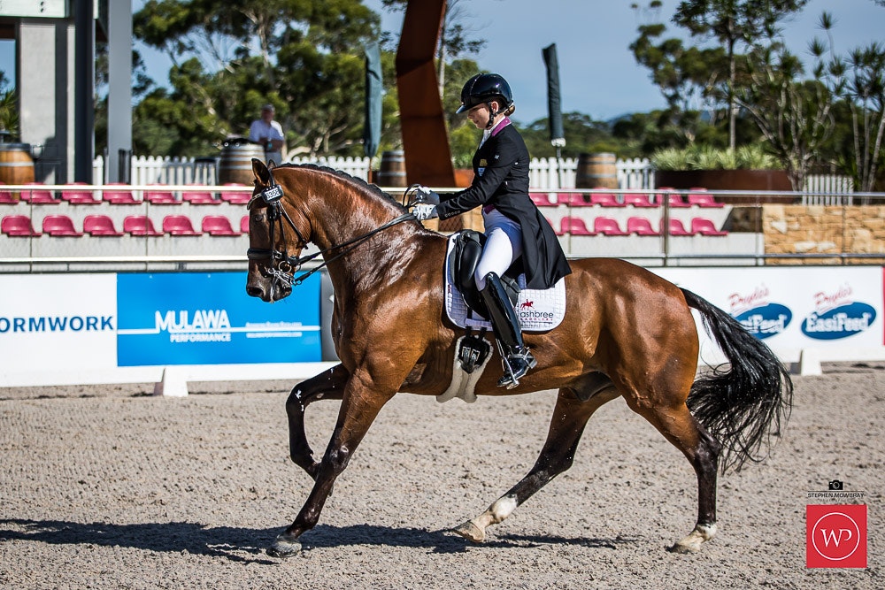 Image for Horseland Wollongong CDI Under 25 Intermediate II