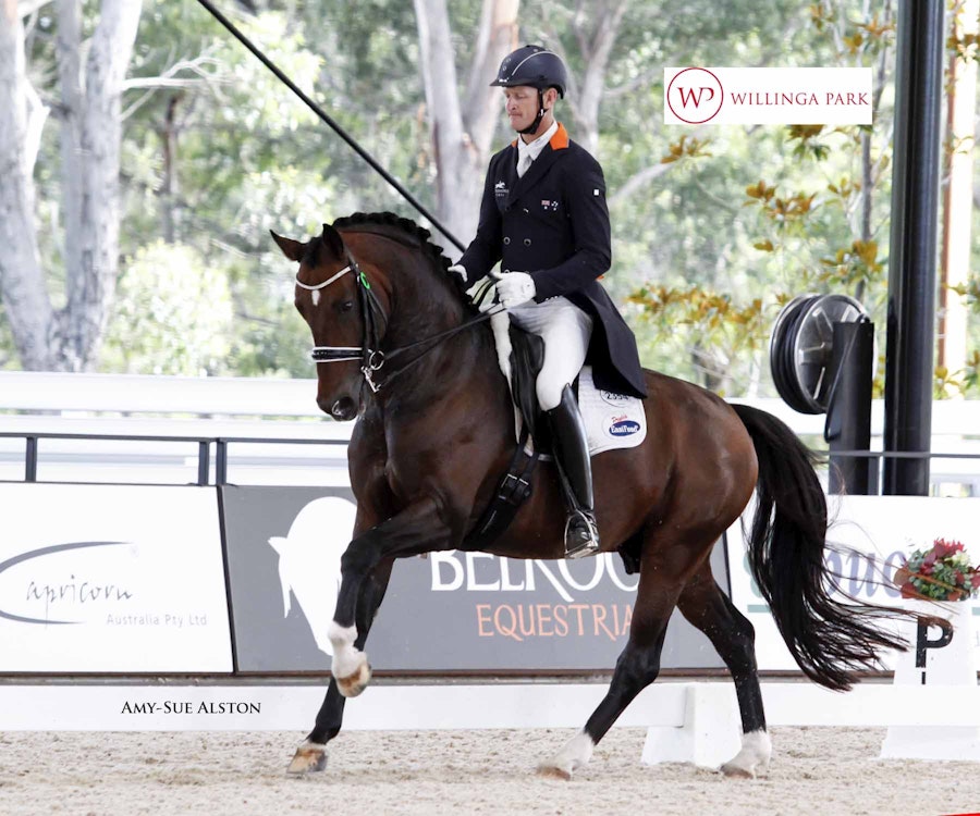 Image for Equestrian Life Advanced 5.3
