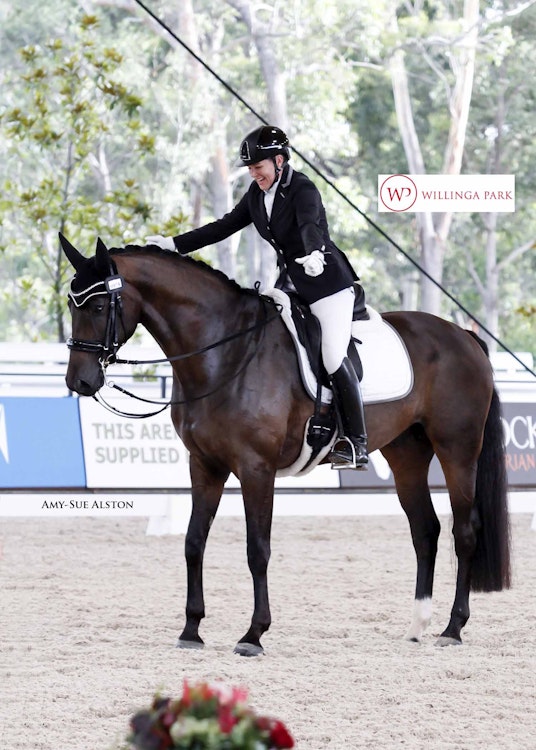 Image for Equestrian Life Advanced 5.3