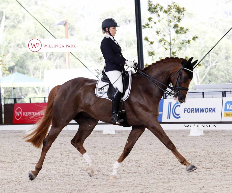 Image for Equestrian Life Advanced 5.3
