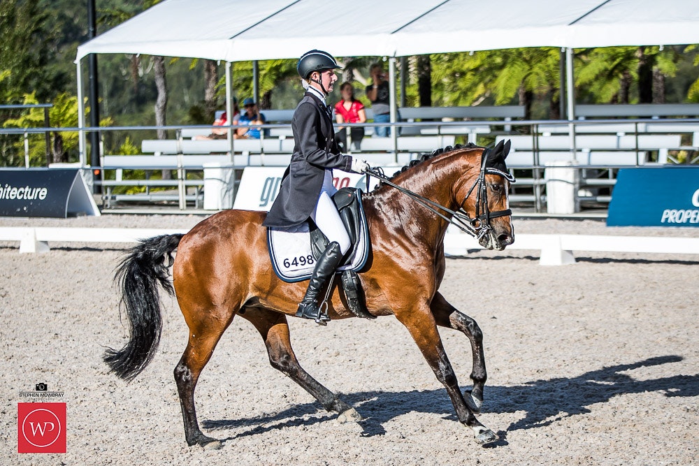 Image for Dapple EQ, CDI-Y TEAM TEST
