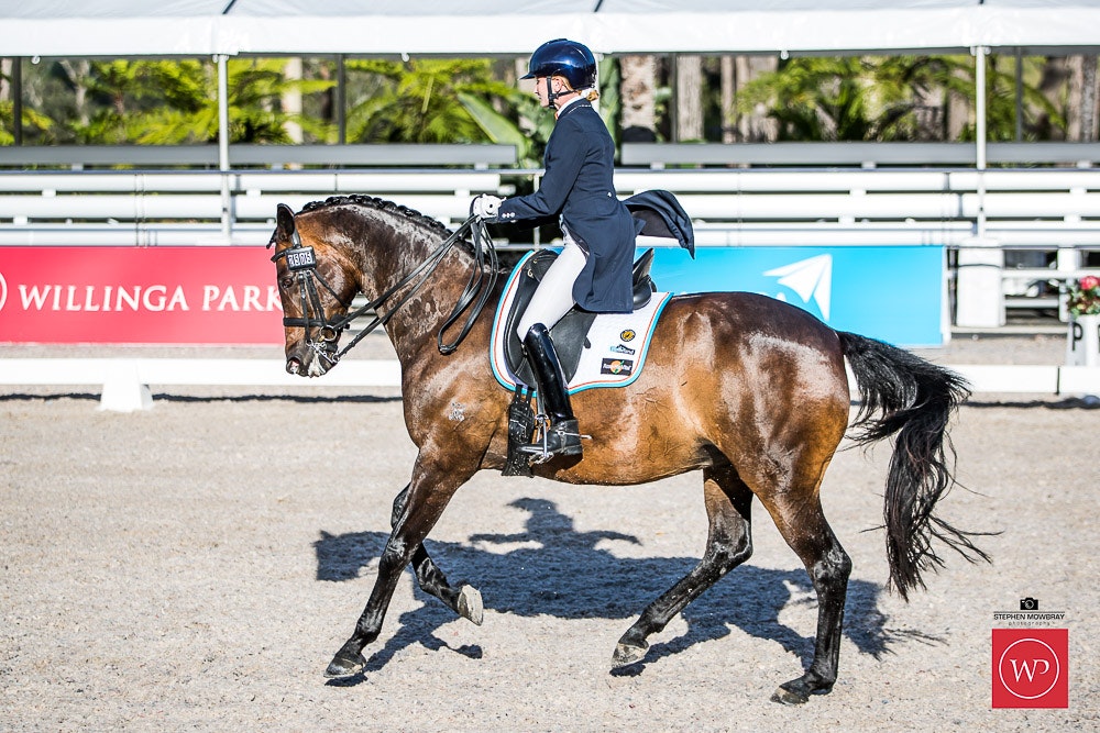 Image for Dapple EQ, CDI-Y TEAM TEST