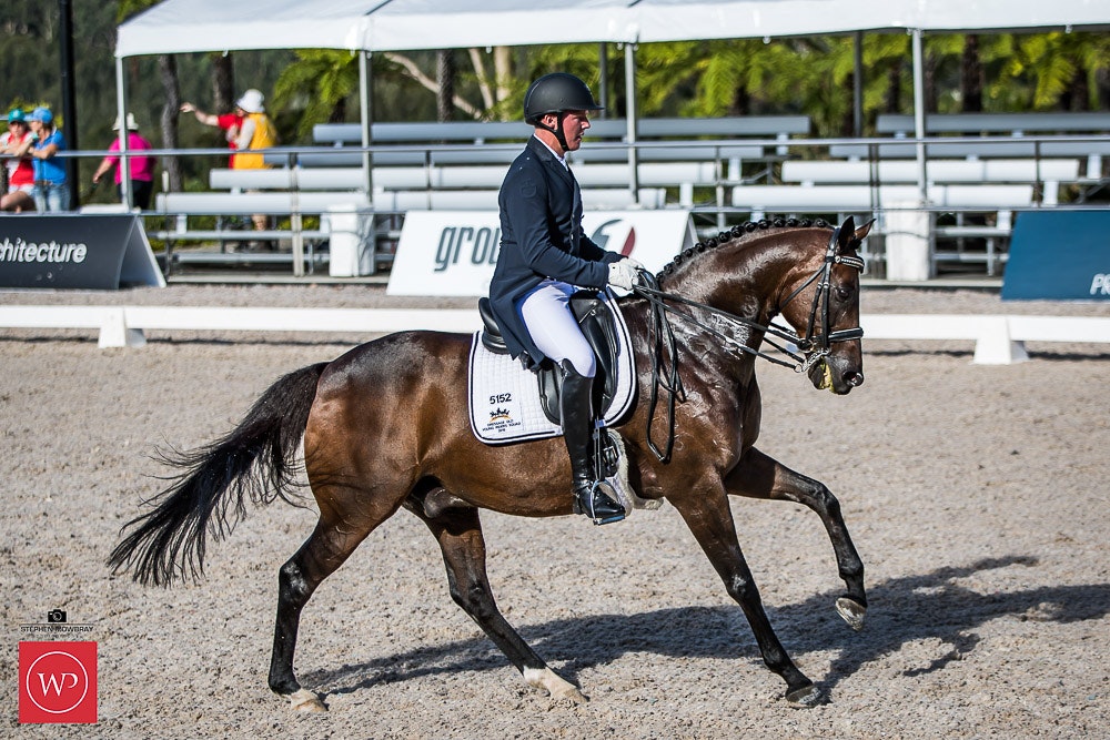 Image for Dapple EQ, CDI-Y TEAM TEST