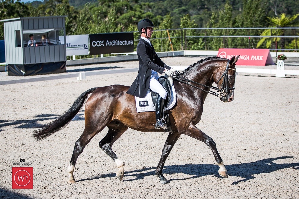 Image for Mulawa Performance Horses, CDI-J TEAM TEST