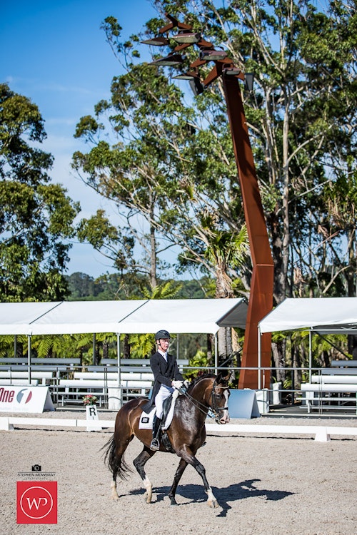 Image for Mulawa Performance Horses, CDI-J TEAM TEST