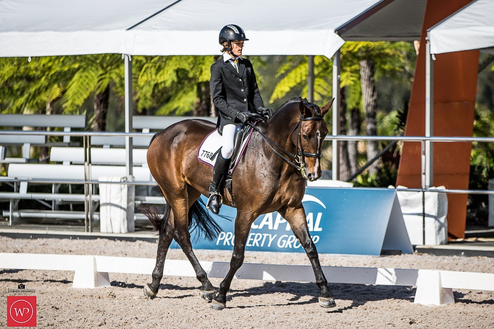 Image for Mulawa Performance Horses, CDI-J TEAM TEST