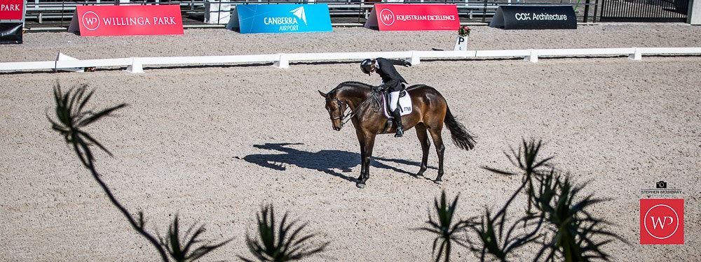 Image for Mulawa Performance Horses, CDI-J TEAM TEST