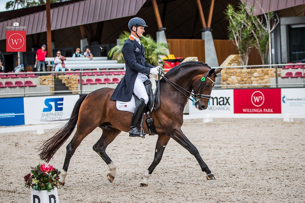 Image for Boutique Equines Advanced 5.2