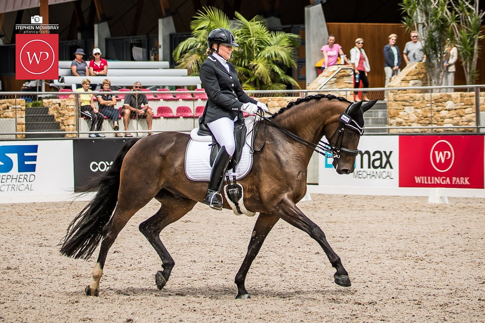 Image for Boutique Equines Advanced 5.2