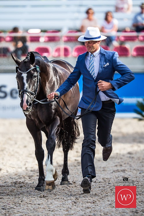 Image for Boutique Equines Fitness Inspection