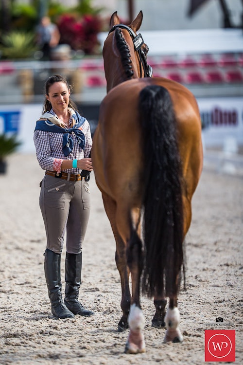 Image for Boutique Equines Fitness Inspection