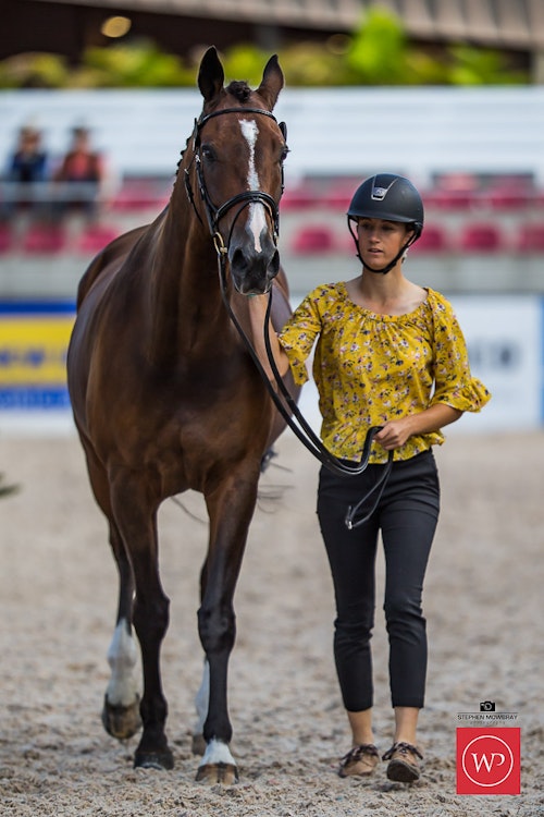 Image for Boutique Equines Fitness Inspection