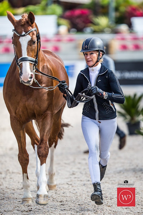Image for Boutique Equines Fitness Inspection