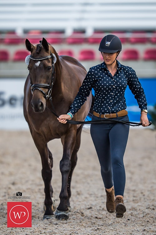 Image for Boutique Equines Fitness Inspection