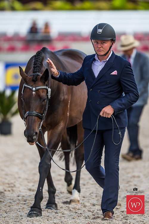 Image for Boutique Equines Fitness Inspection