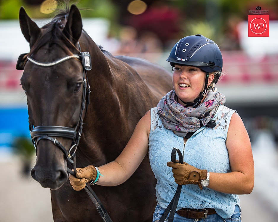Image for Boutique Equines Fitness Inspection