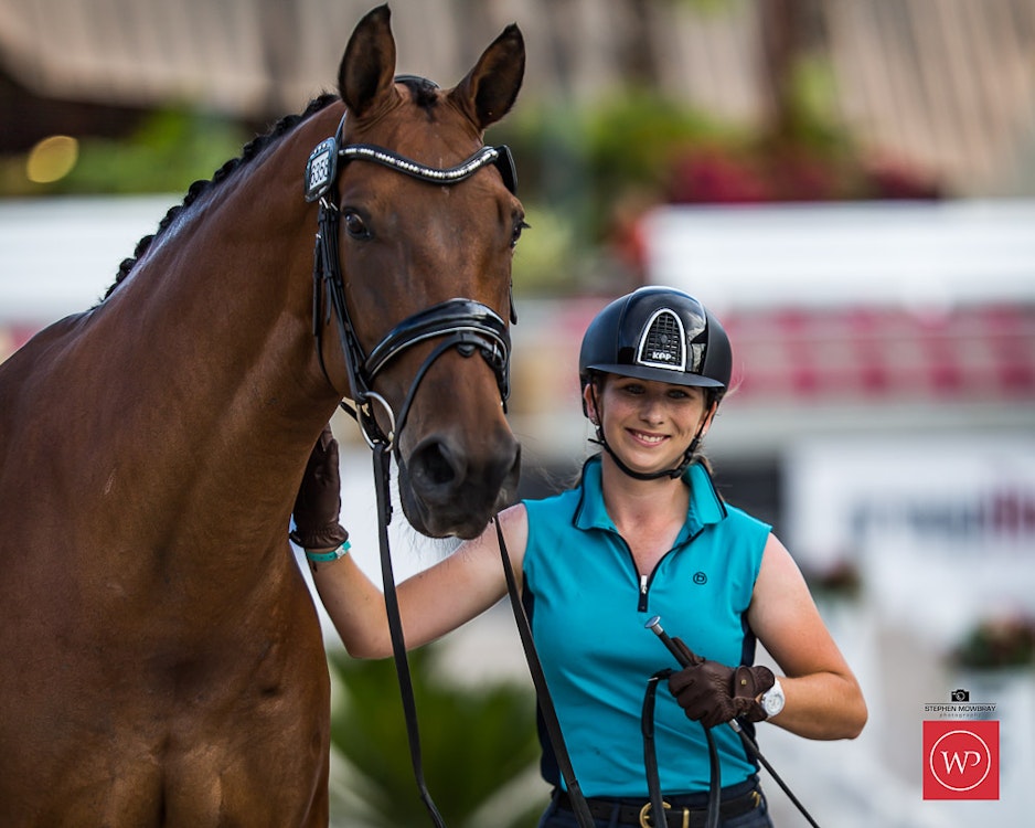 Image for Boutique Equines Fitness Inspection