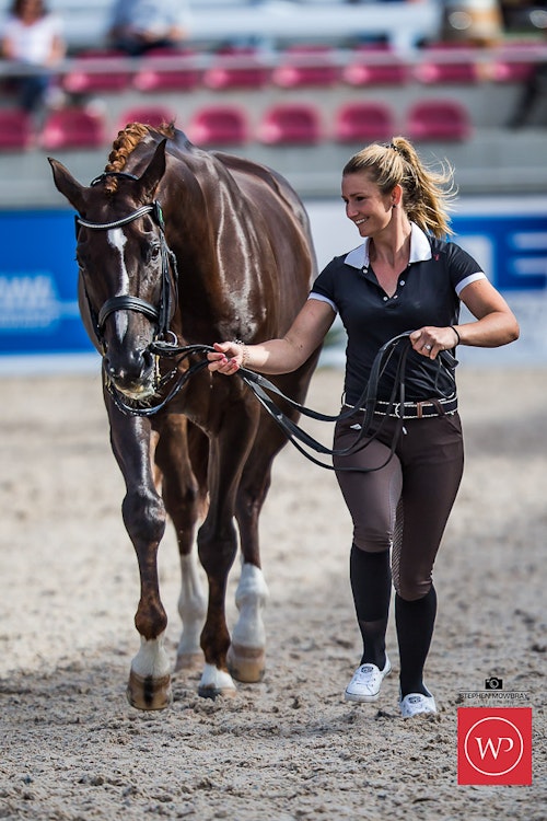 Image for Boutique Equines Fitness Inspection