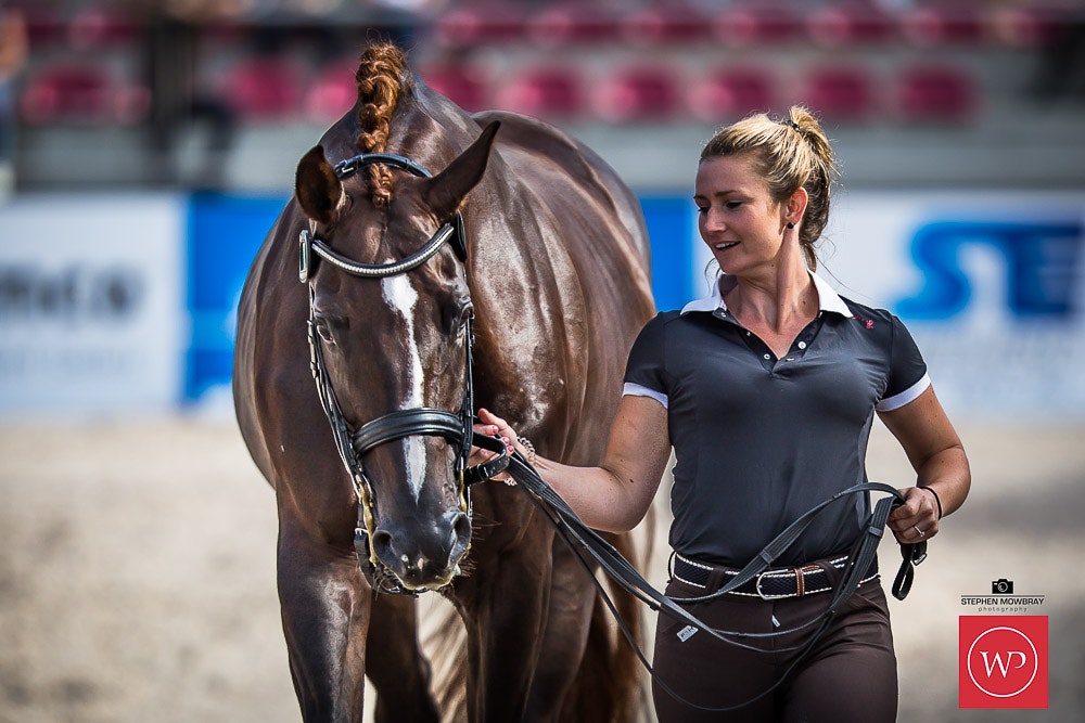 Image for Boutique Equines Fitness Inspection