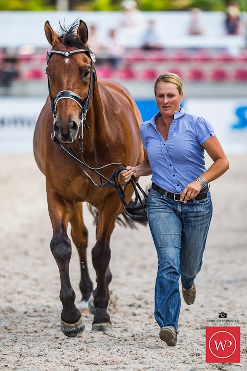 Image for Boutique Equines Fitness Inspection