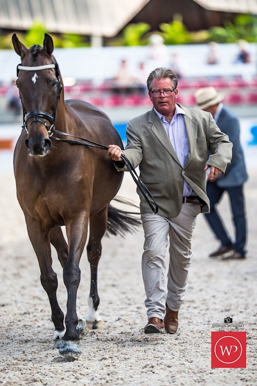 Image for Boutique Equines Fitness Inspection