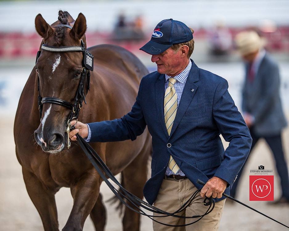 Image for Boutique Equines Fitness Inspection