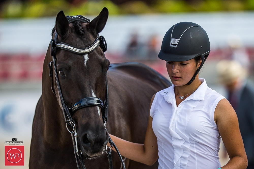 Image for Boutique Equines Fitness Inspection
