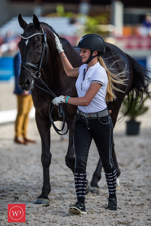 Image for Boutique Equines Fitness Inspection