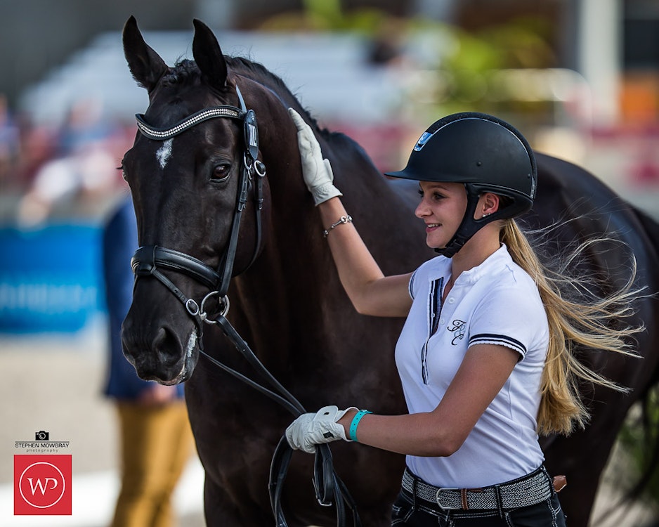 Image for Boutique Equines Fitness Inspection