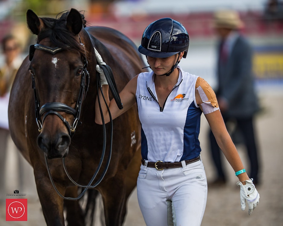Image for Boutique Equines Fitness Inspection