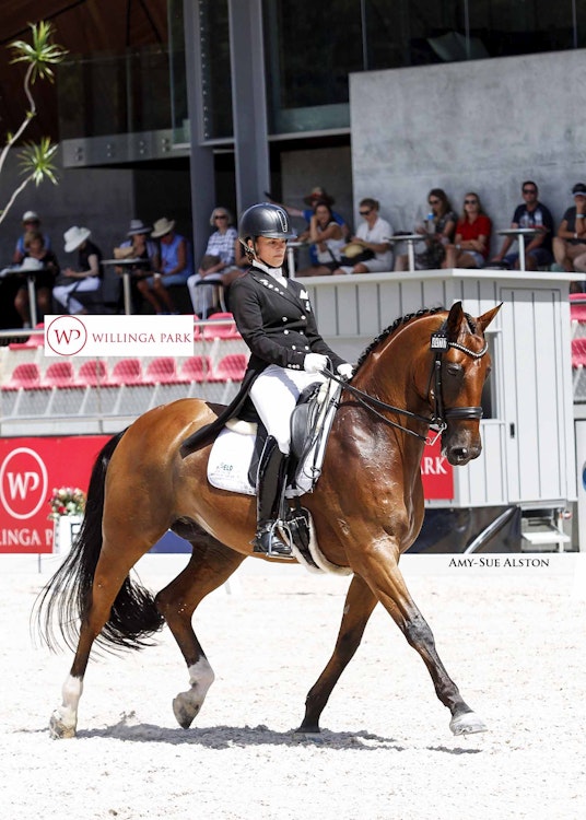 Image for Holcim CDI*** Grand Prix Special