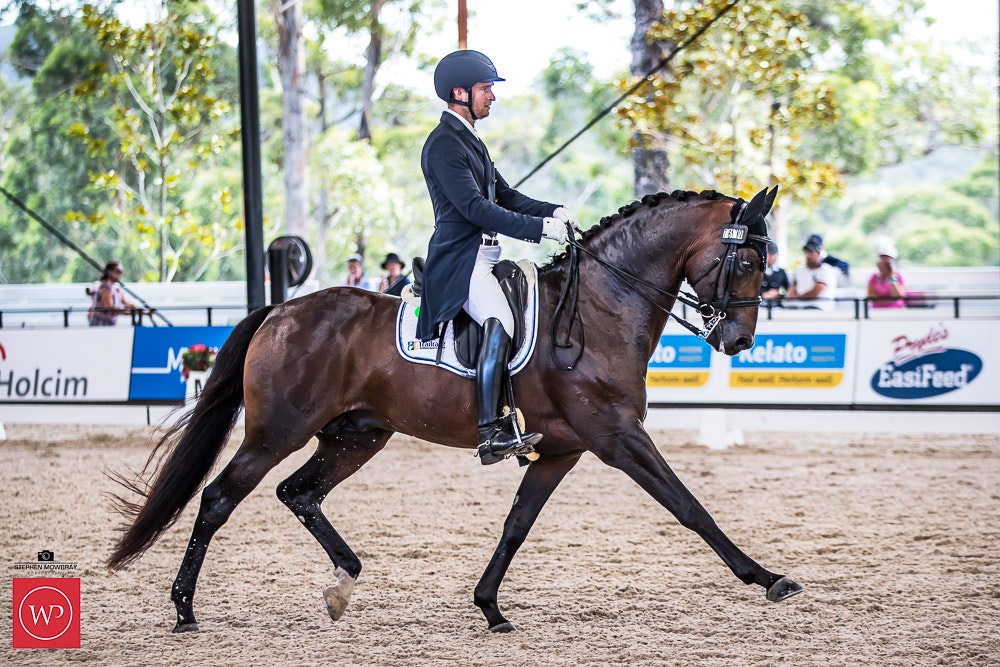 Image for Bucas Horse Rugs Intermediate I CDN