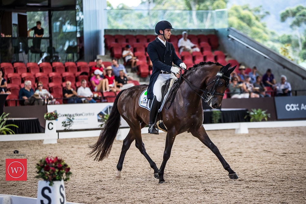 Image for Bucas Horse Rugs Intermediate I CDN