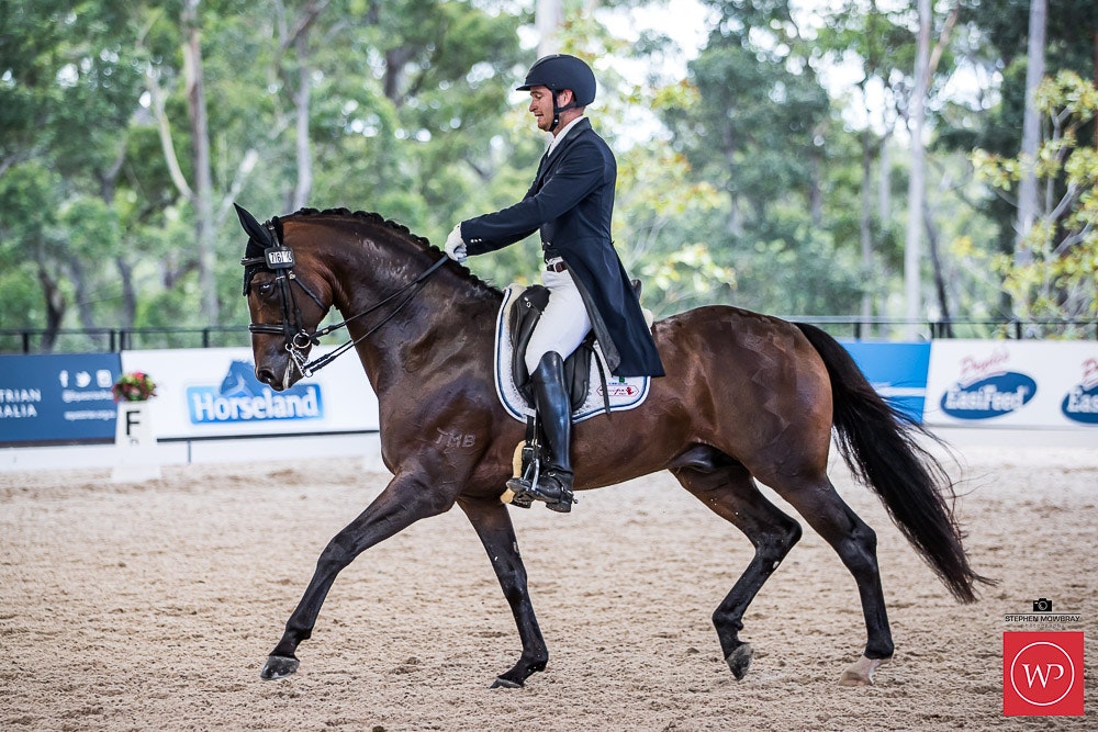 Image for Bucas Horse Rugs Intermediate I CDN