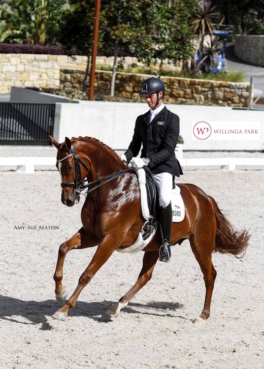 Image for Capricorn Australia Advanced Freestyle