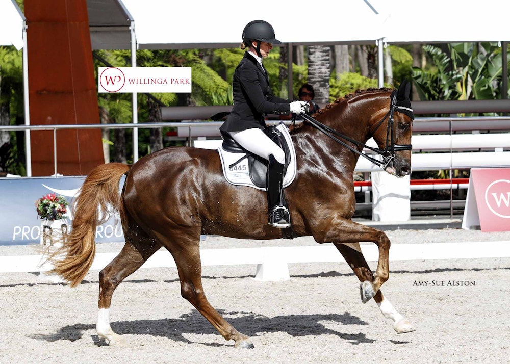 Image for Capricorn Australia Advanced Freestyle