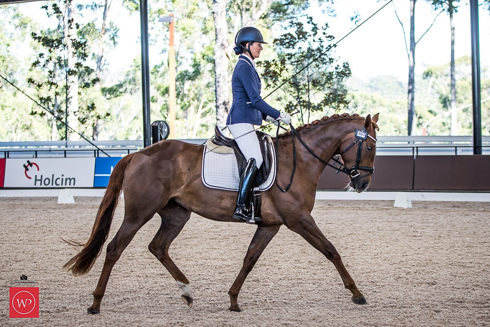 Image for Prydes Young Horse 4yo Round 1