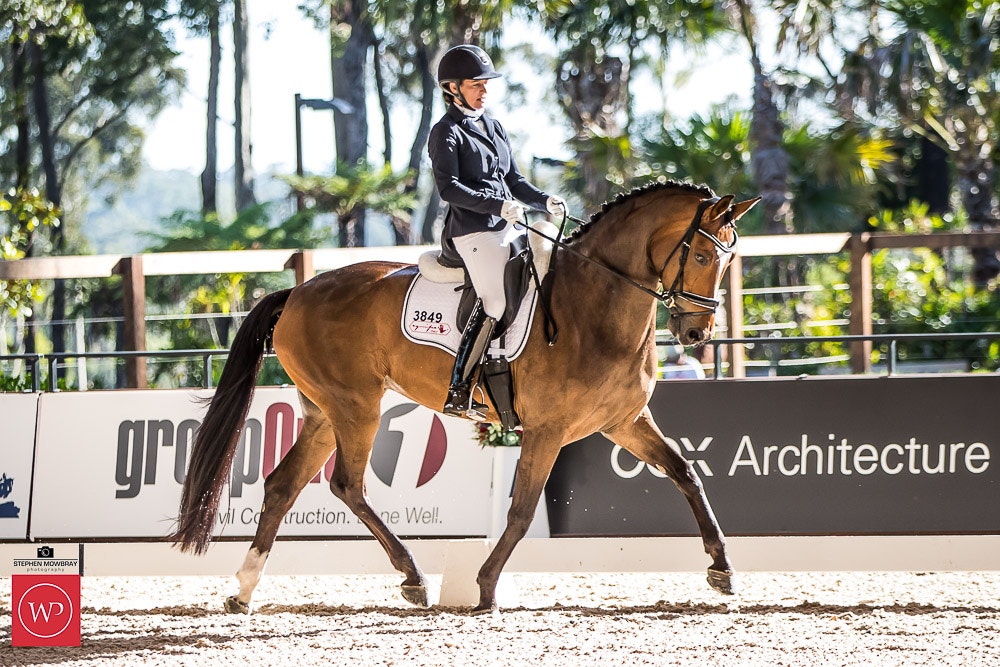 Image for Prydes Young Horse 4yo Round 1