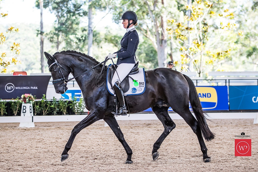 Image for Belrock Equestrian Young Horse 5yo Round 1